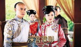 深宫谍影电视剧,宫廷秘事，权谋风云